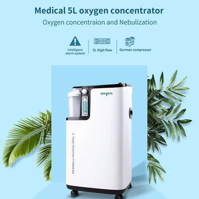 低雑音の医学のFDA 5リットルの酸素のコンセントレイターの噴霧器